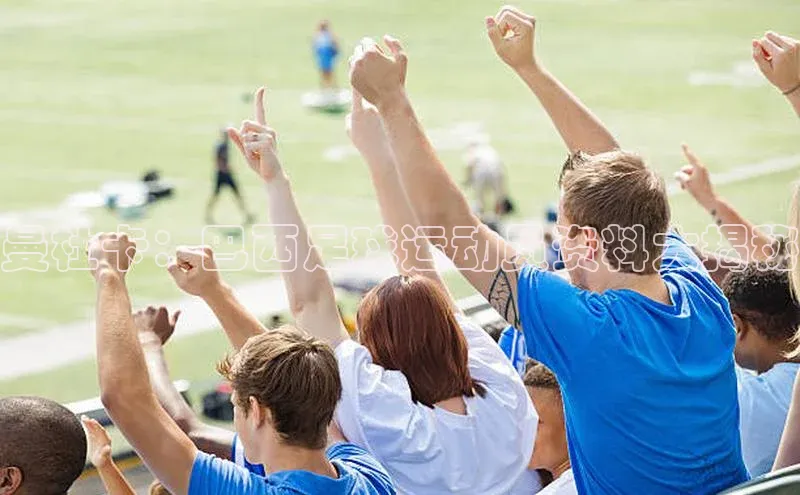 BV伟德国际官方网站百度智能门户曼杜卡：巴西足球运动员资料大揭秘