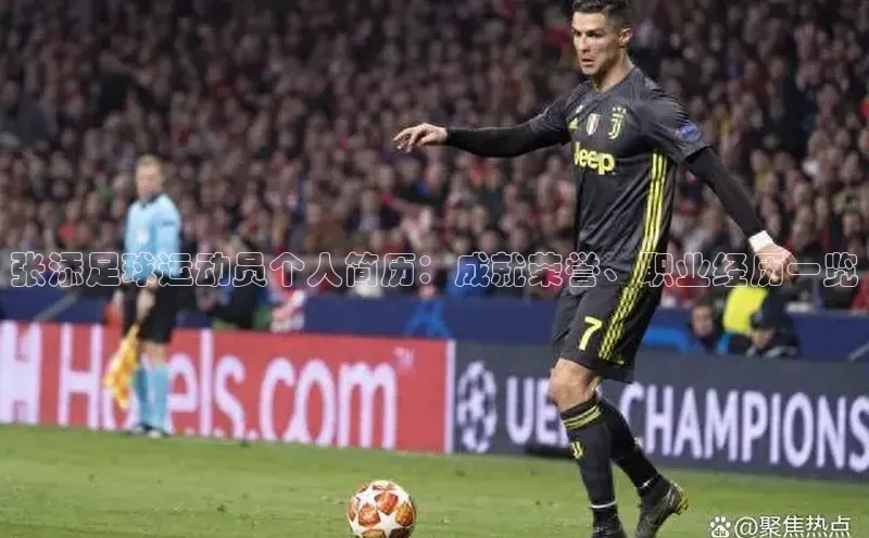 伟德bv1946官网首页慧博云通张添足球运动员个人简历：成就荣誉、职业经历一览