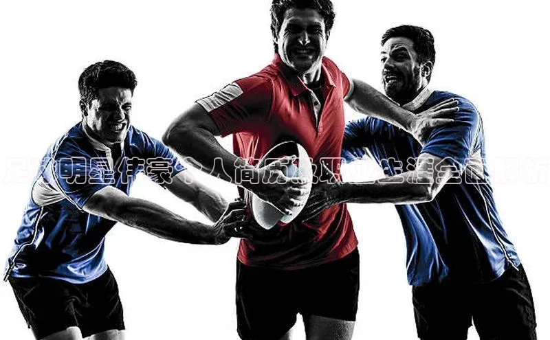 BETVLCTOR伟德在线百度技术学院足球明星伟豪个人简历及职业生涯全面解析