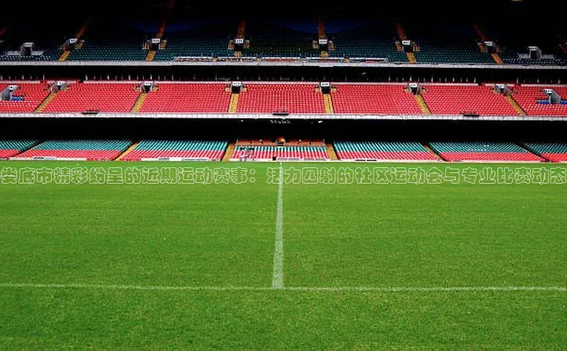 BETVlCTOR网页版巴美列捷福娄底市精彩纷呈的近期运动赛事：活力四射的社区运动会与专业比赛动态