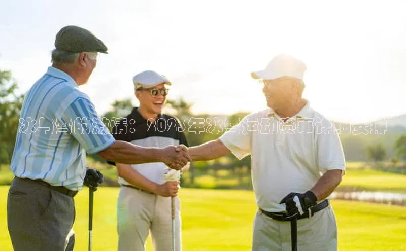 BETVLCTOR官方网站皮阿诺冰与雪的激情：2023年冰雪运动赛事详细安排