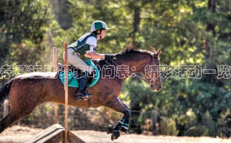 孝感运动赛事时间表：精彩活动一览