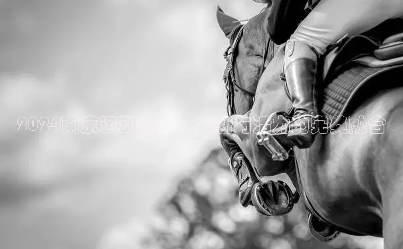 2024南京运动赛事：创新与活力的完美融合