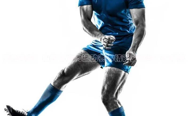 齐鲁风采：山东省定向运动赛事精彩回顾与未来展望