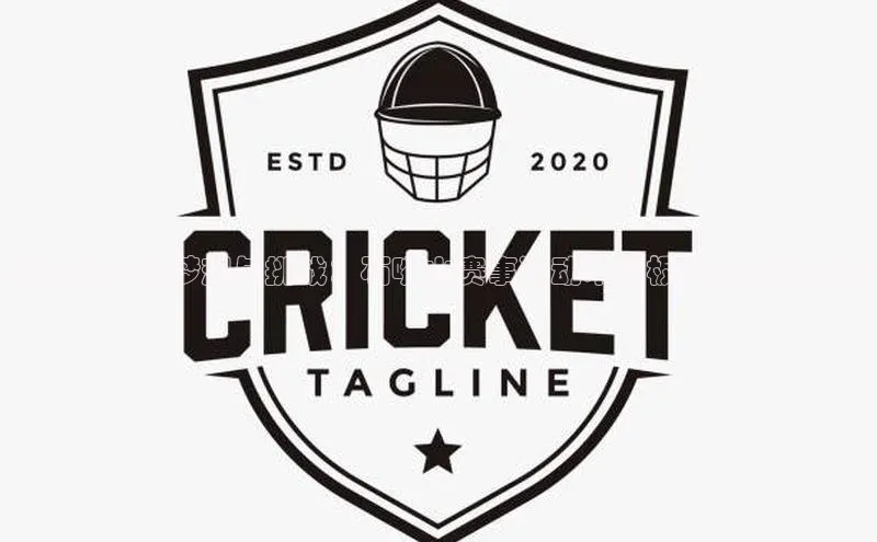 绿茵场上的梦想与挑战：石嘴山赛事运动木地板的魅力和创新