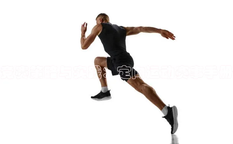 竞赛策略与实践：定向运动赛事手册