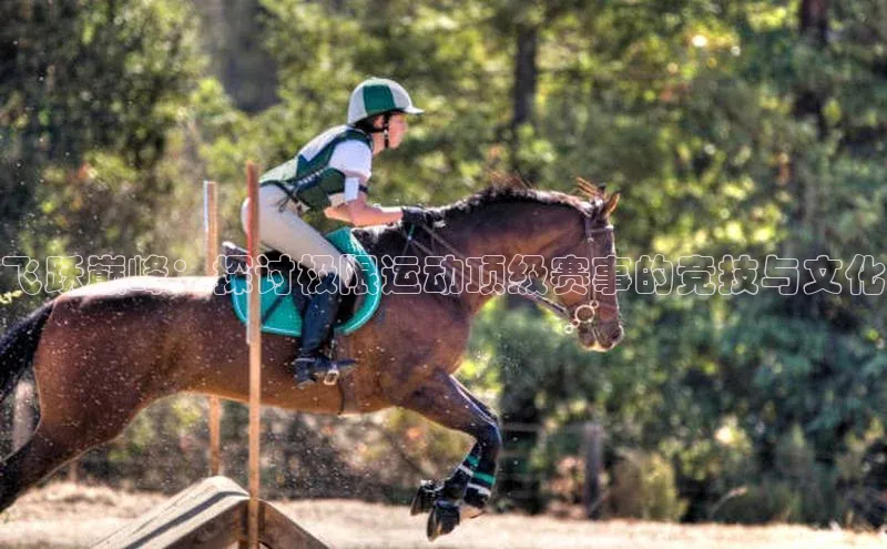 飞跃巅峰：探讨极限运动顶级赛事的竞技与文化