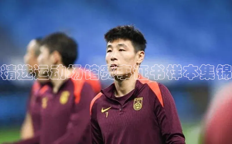 精选运动场馆赛事证书样本集锦