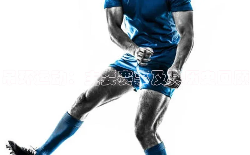 吊环运动：主要赛事及其历史回顾