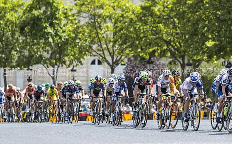 奇葩运动赛事视频在线观看：带你体验前所未见的疯狂挑战