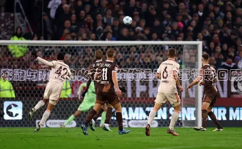 奔跑与欢腾的火花：狗狗运动赛事精彩回顾