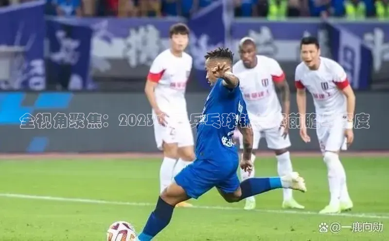 全视角聚焦：2023中国乒乓球锦标赛前瞻与深度