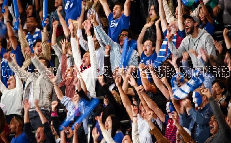 BV伟德国际官方网站