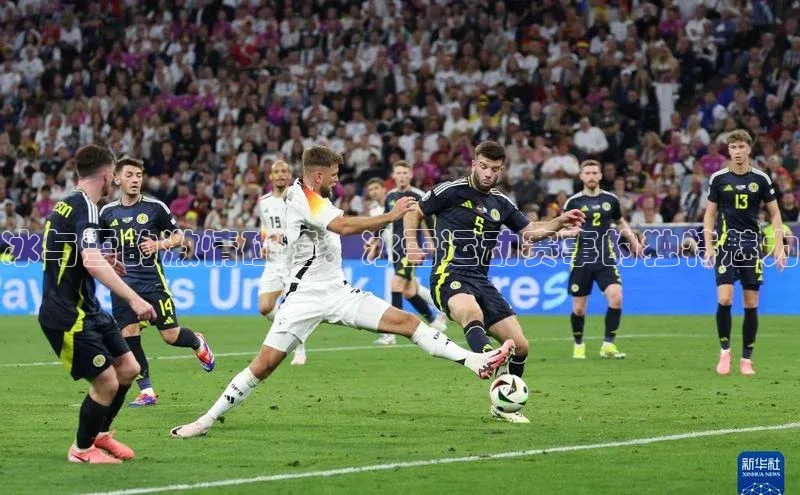 冰与雪的激情碰撞：冰雪运动赛事的独特魅力