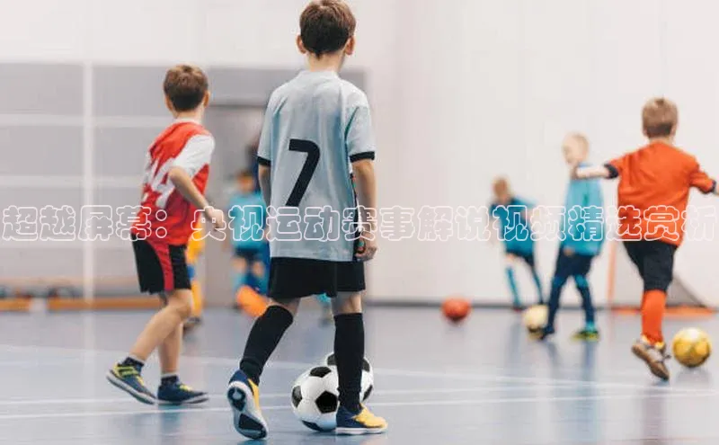 超越屏幕：央视运动赛事解说视频精选赏析